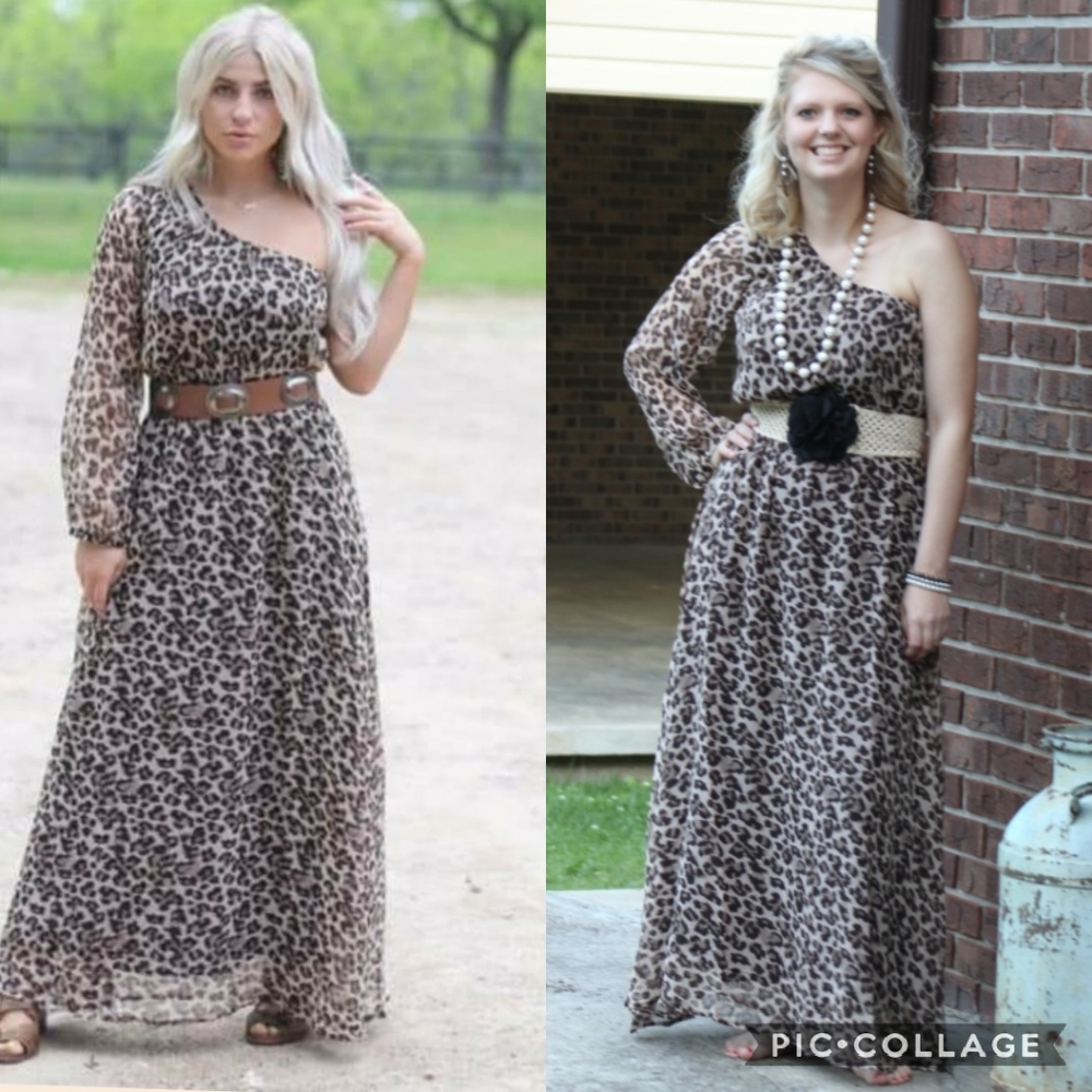 Leopard One Shoulder Chiffon Dress